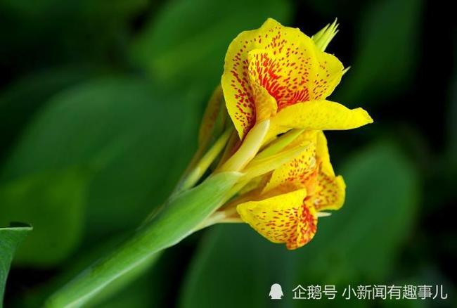 海中金命最旺的数字